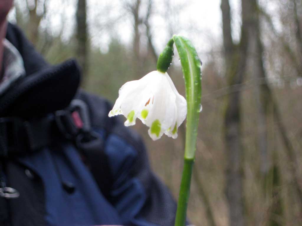06 06