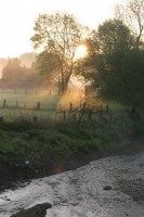 2009_05_10-uka-013 2009_05_10-uka-013