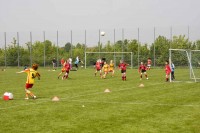 Viele Zuschauer säumten die Fußballfelder