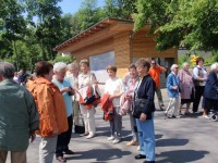 Der Gemischte Chor Alfen in Lingenau