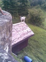 Juliwanderung