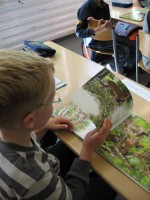 Lesewettbewerb der Grundschule Alfen