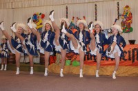 Karneval in Alfen 2010