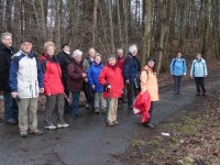 Februar Wandung Februar Wandung