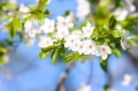 Ticker-2010- 04-18-002