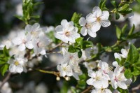 Ticker-2010- 04-18-005
