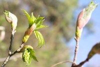 Ticker-2010- 04-18-006
