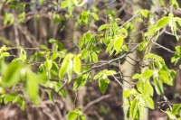 Ticker-2010- 04-18-008