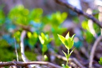 Ticker-2010- 04-18-010