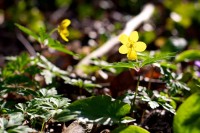 Ticker-2010- 04-18-011