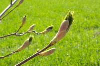 Ticker-2010- 04-18-013