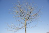 Ticker-2010- 04-18-014
