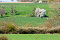 Ticker-2010- 04-18-016