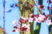 Ticker-2010- 04-18-017
