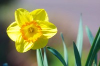 Ticker-2010- 04-18-018