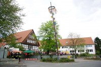 Langsam und vorsichtig wurde der Baum aufgerichtet Langsam und vorsichtig wurde der Baum aufgerichtet