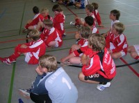 Ungeschlagen und mit nur zwei Gegentoren setzten die Alfener Fußballer durch