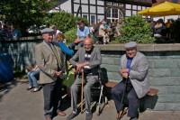 Maibaum Aufstellen