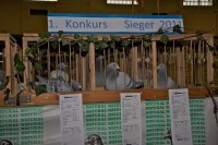 Taubenausstellung 2012 Taubenausstellung 2012